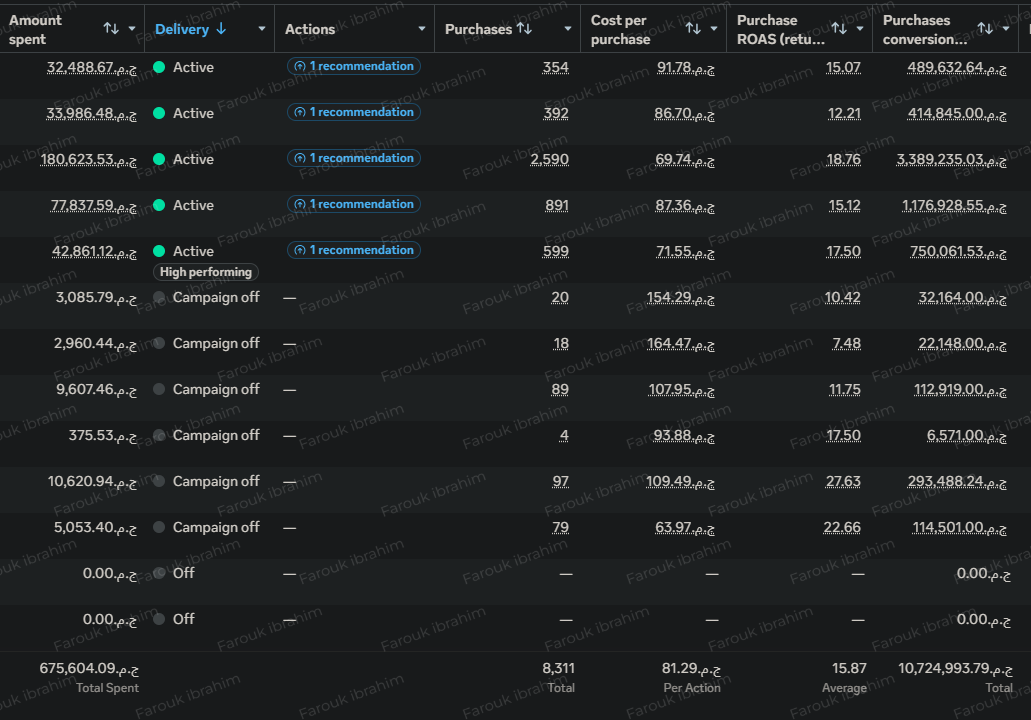 Meta Ads Manager campaign performance